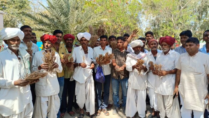 बेमौसम बारिश ने किसानों की फसलों को किया तबाह